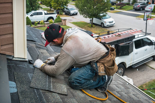 Professional Hail Damage Roof Repair technician working in Springbrook, IA